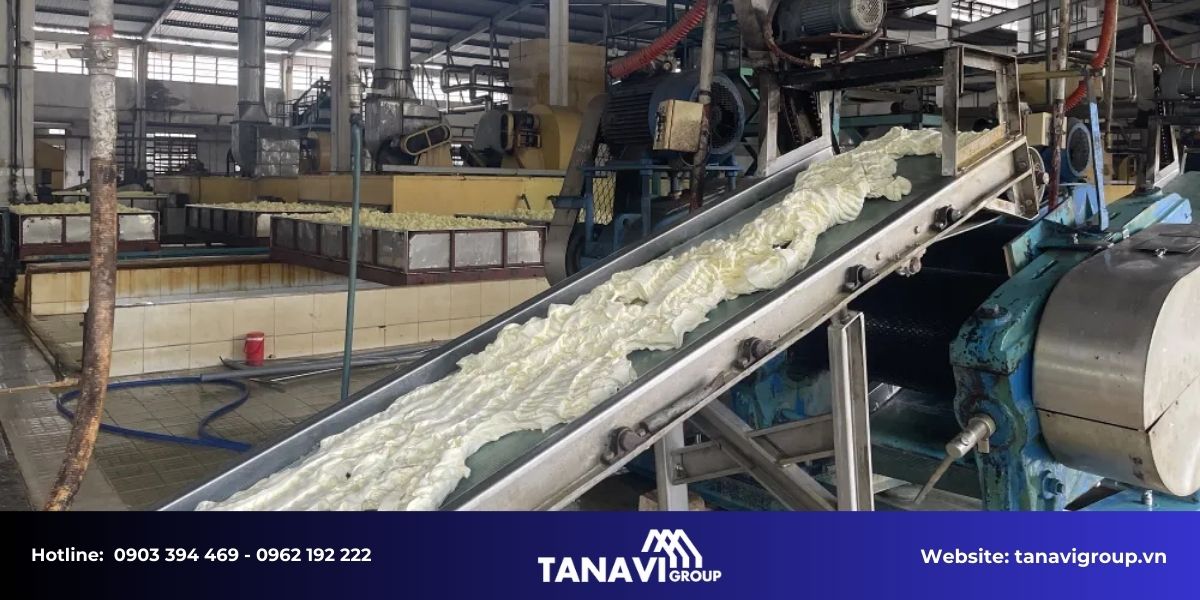 Những tiêu chuẩn cần đảm bảo khi thi công nhà máy sản xuất cao su, hóa chất