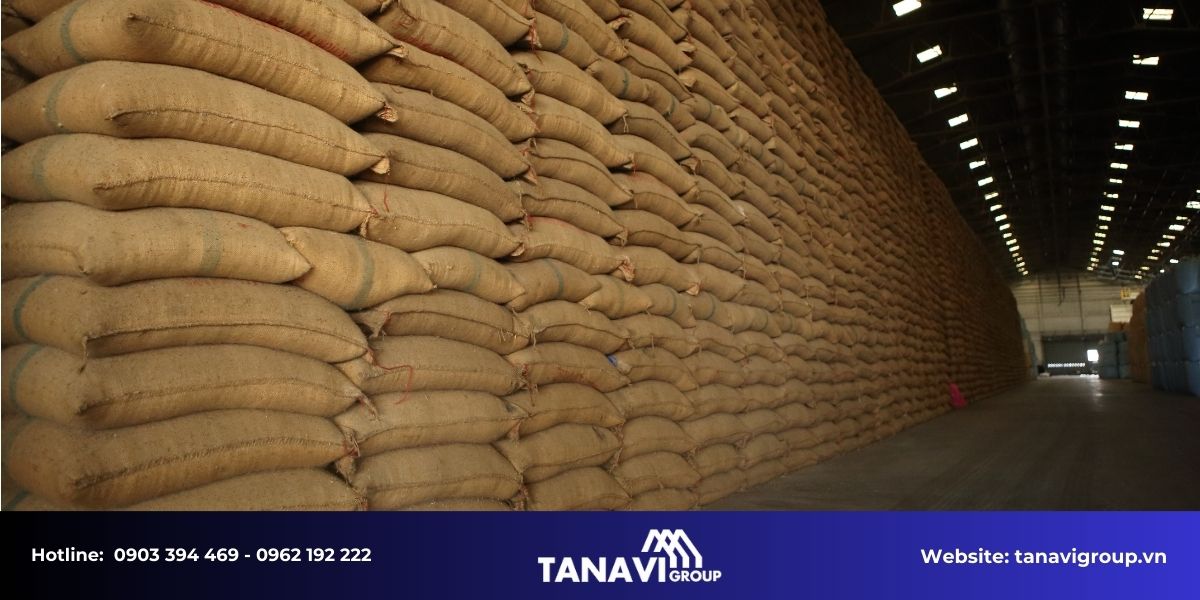 Tổng quan về nhu cầu xây dựng nhà kho nông sản, kho gạo hiện nay