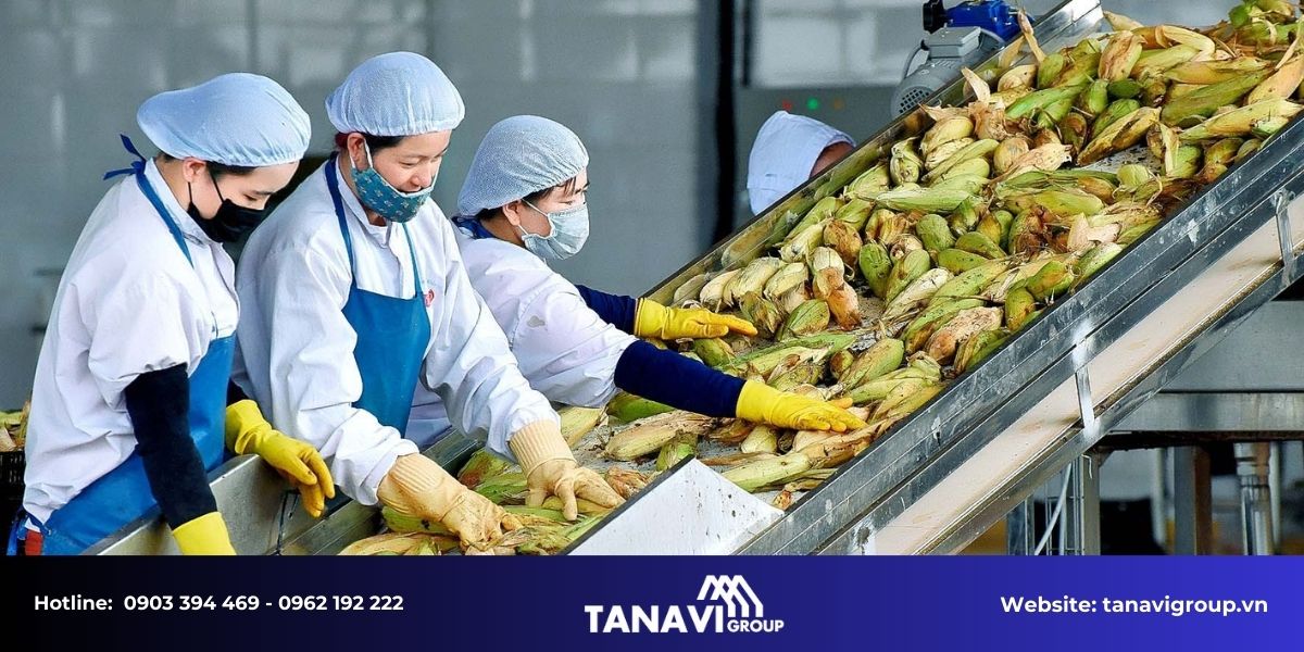 Yêu cầu đặc thù khi thi công nhà máy chế biến nông sản